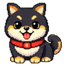 Shiba